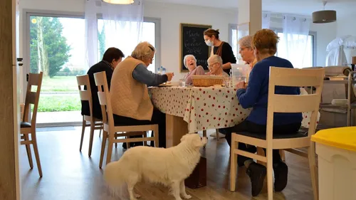 "Ages et Vie" : des coloc' pour personnes âgées au lieu des EHPAD